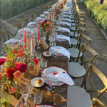 Pigeon Blue, Flamingo Pink Placemat