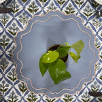 Blue Double Edges Embroidery Placemat