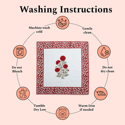 Washing instructions for a framed piece of art with icons and text on a pink background.