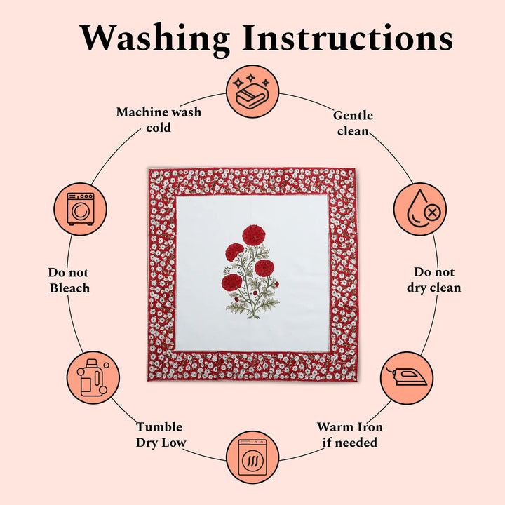Washing instructions for a framed piece of art with icons and text on a pink background.